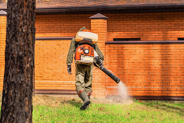 Trusted Cockroach Control service in Cottage City, MD - Nex Pest Control